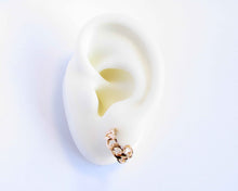 Cargar imagen en el visor de la galería, ARGOLLAS CADENA GRUESA ENCHAPADAS EN ORO