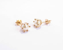 Cargar imagen en el visor de la galería, PERLAS CANASTILLO PISTILOS ENCHAPADAS EN ORO 6 MM
